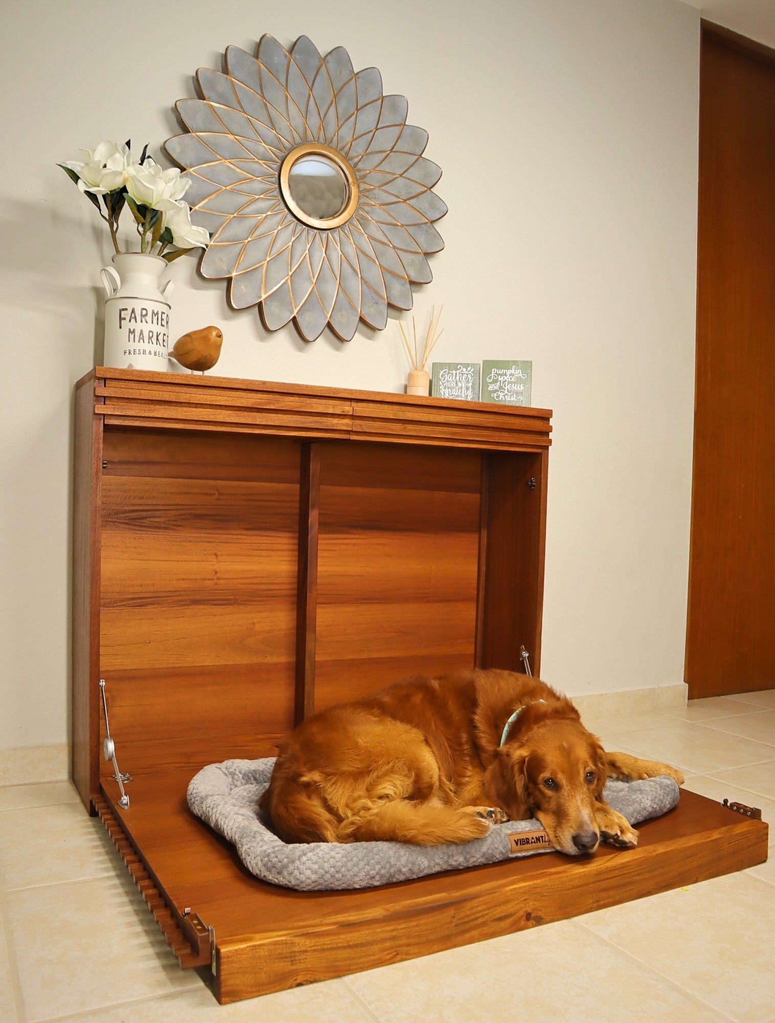 MID-CENTURY DOG MURPHY BED